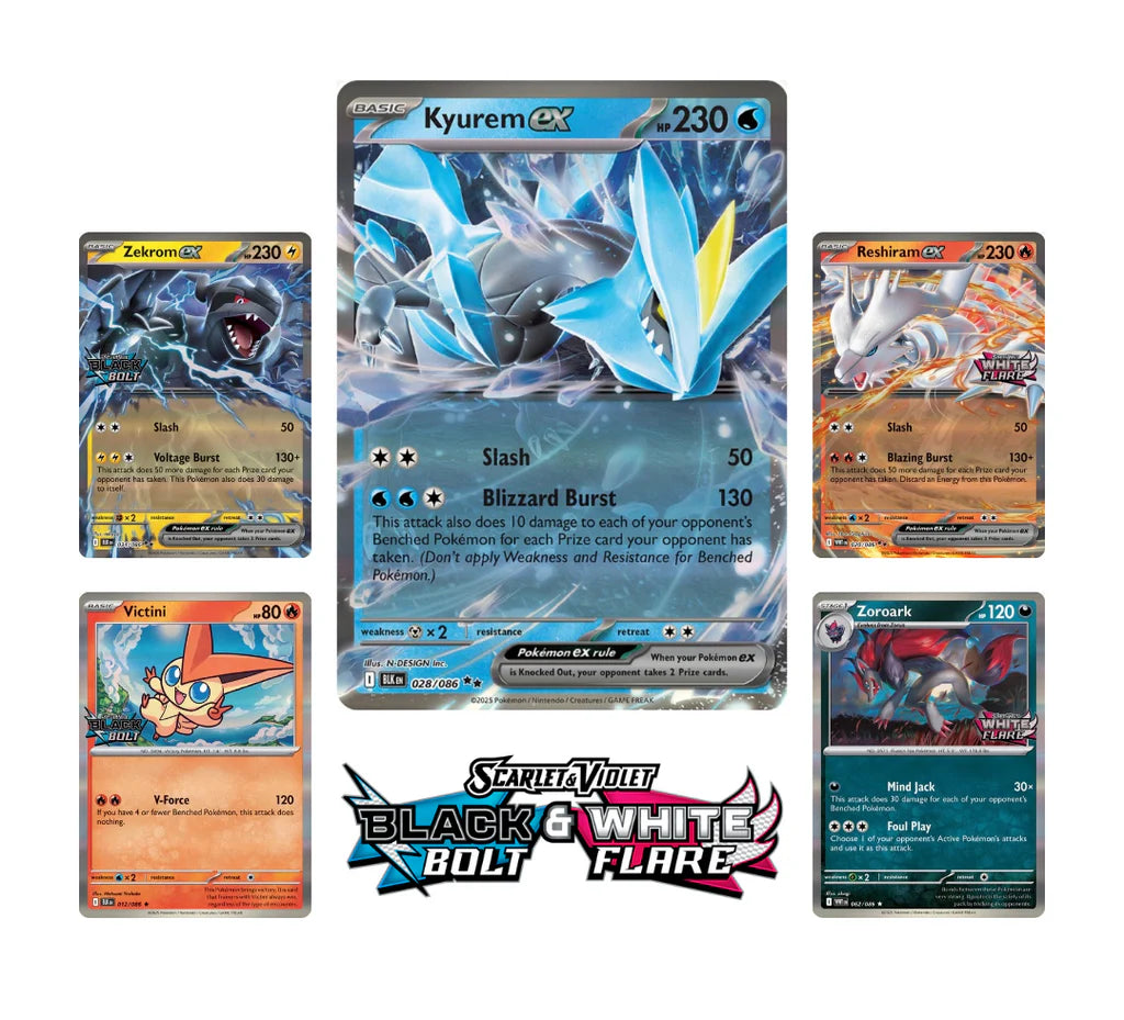 Pokémon TCG: Unova Heavy Hitters Premium Collection
